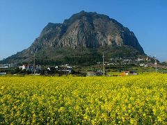 済州島 チェジュ