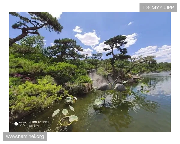 和记K8旗舰手机拍照功能详解，教你如何拍出专业级别的高清照片